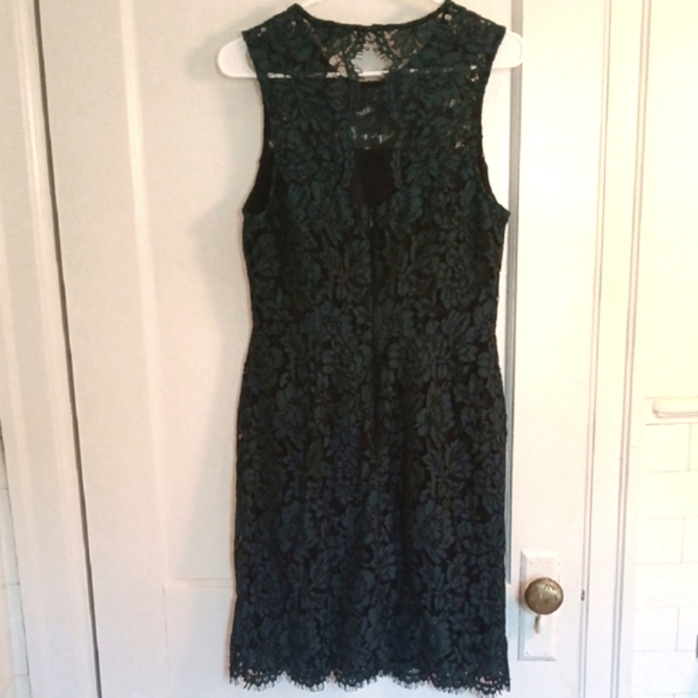 Banana Republic Dark Green Lace Midi Dress - Picture 8 of 12